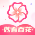 妙看百花app