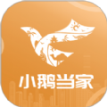 小鹅当家app