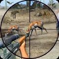 Wild Animal Shooting