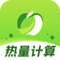 热量计数器app