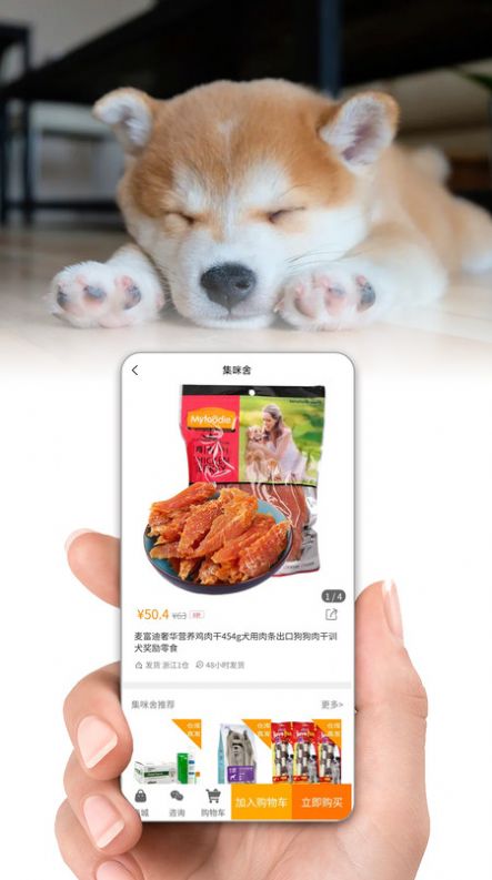 集咪舍app手机版图片1